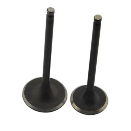 Intake and Exhaust Valves For Suzuki DJebel 200 DR200 DR200SE DR200S 86-22 DF200