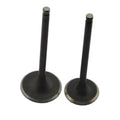 Intake and Exhaust Valves For Suzuki DJebel 200 DR200 DR200SE DR200S 86-22 DF200