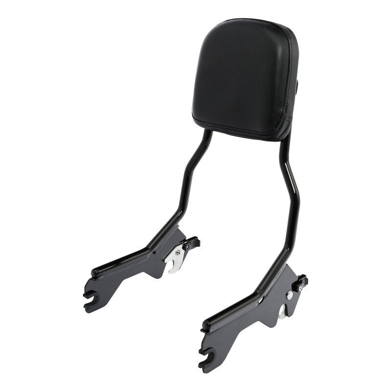TCMT Backrest, image 1 of 4