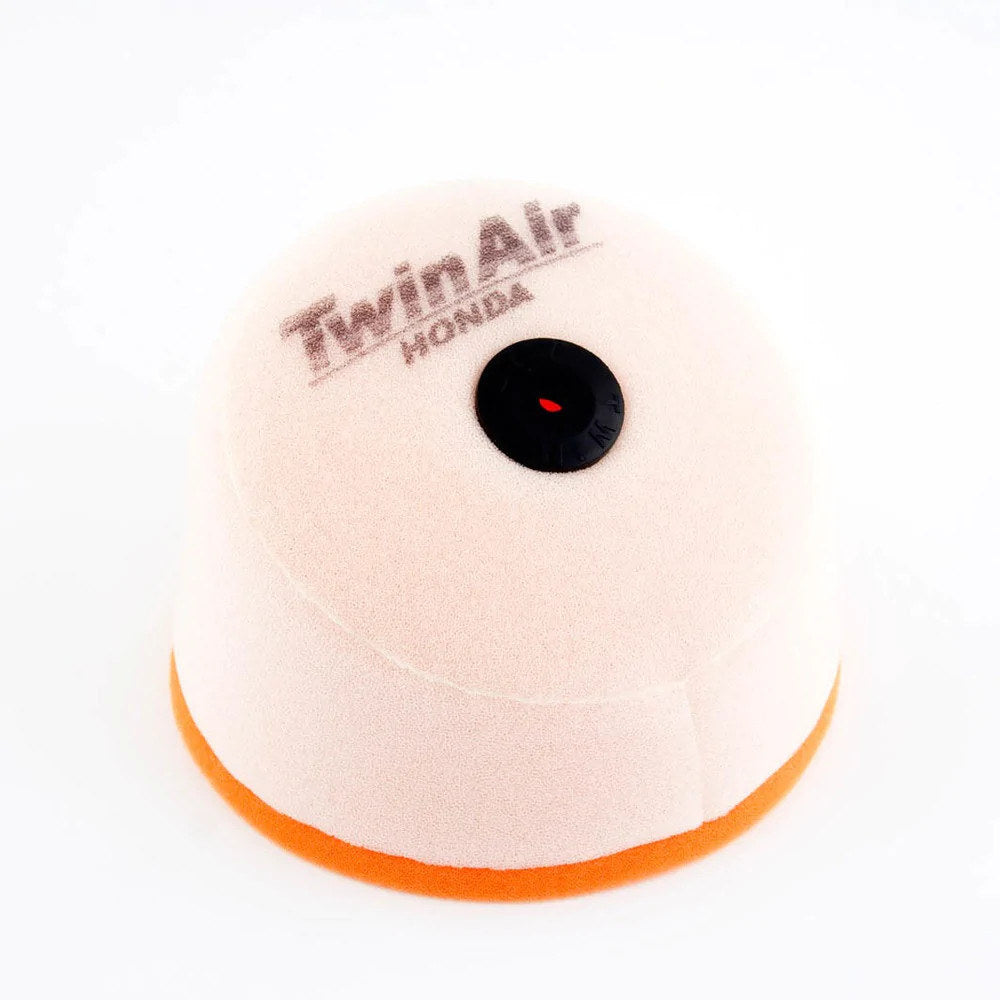 Twin Air Air Filter