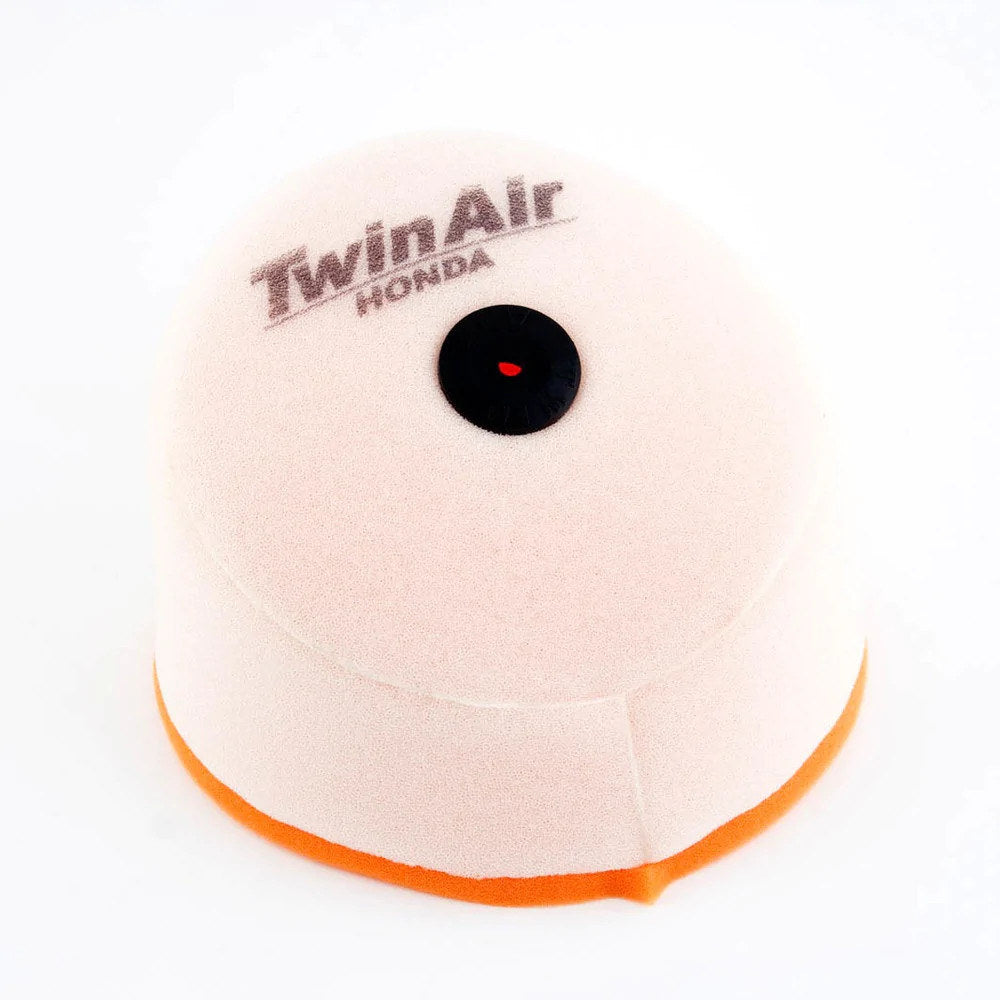Twin Air Air Filter