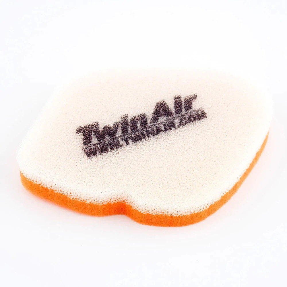 Twin Air Air Filter