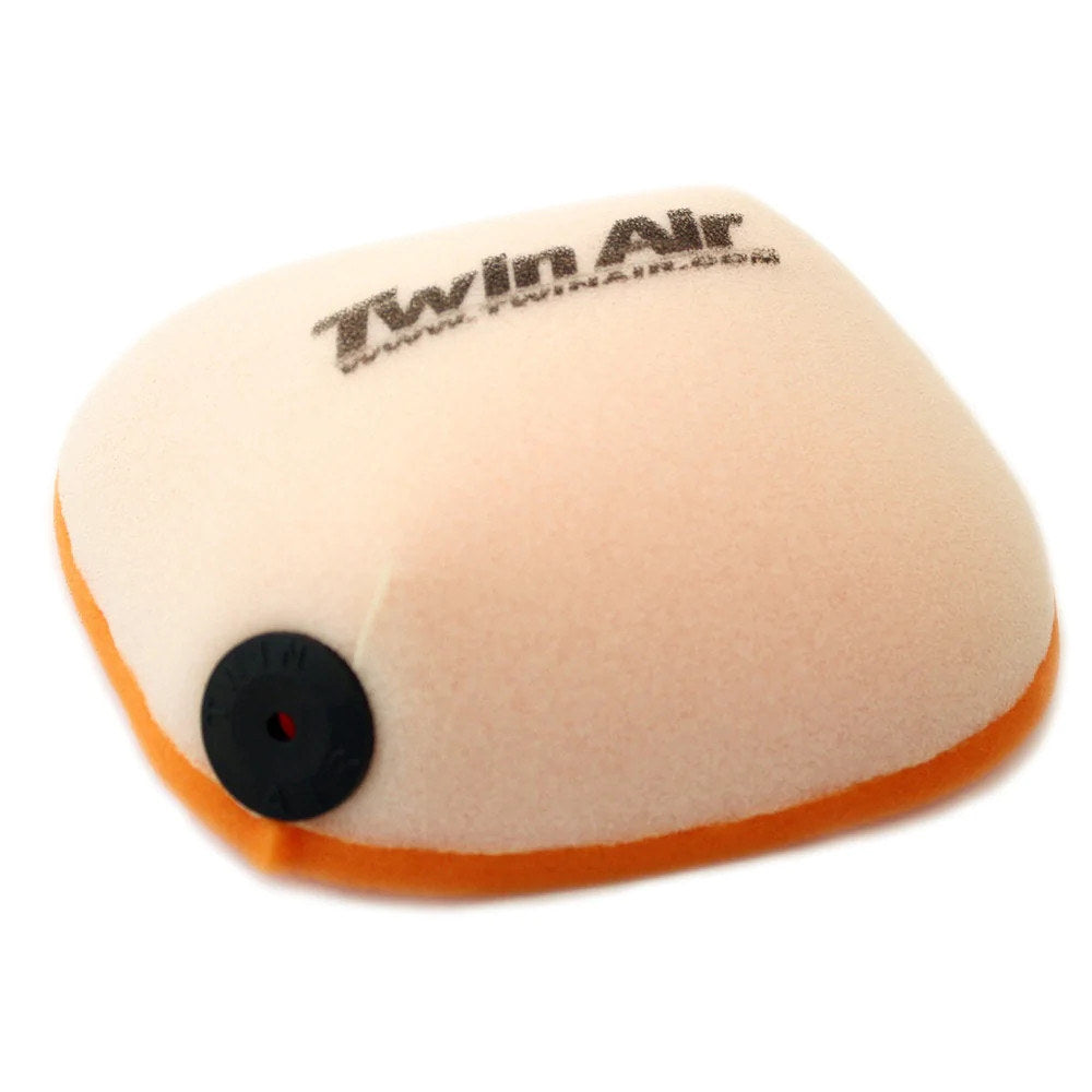 Twin Air Air Filter