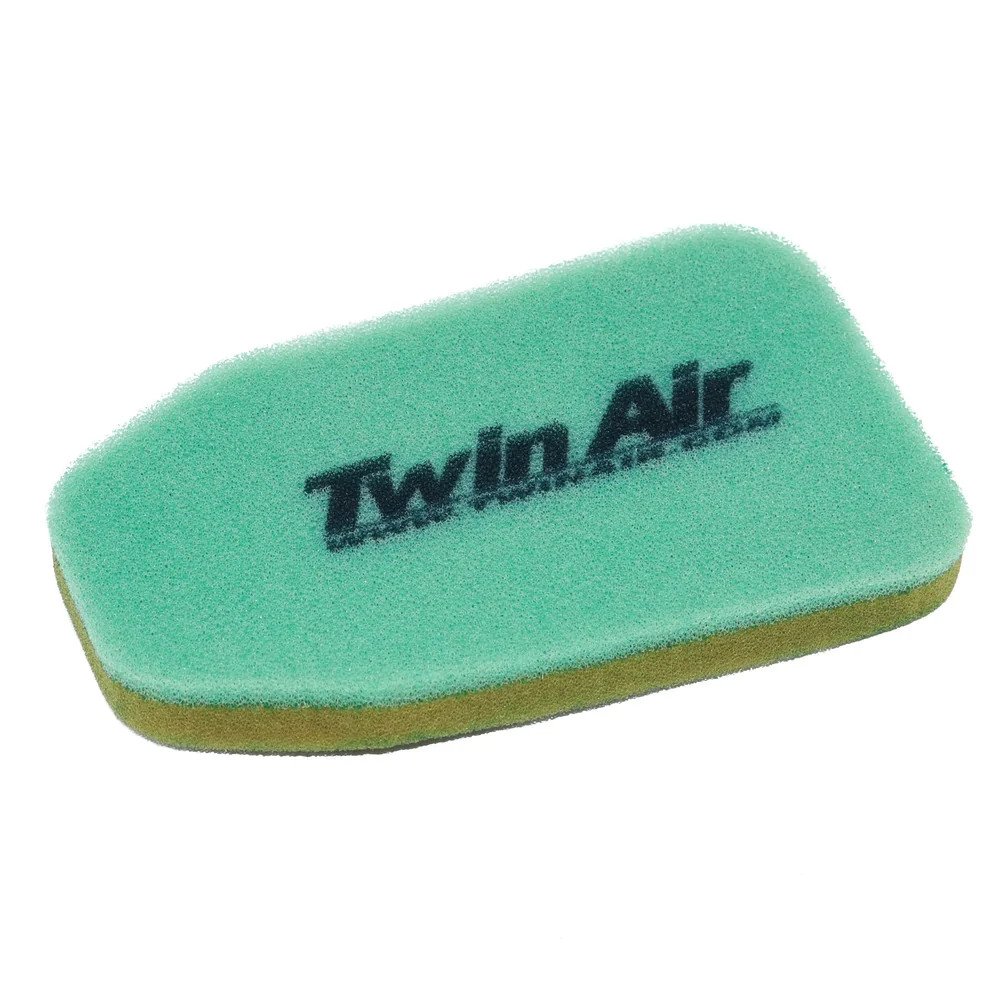 Twin Air Air Filter