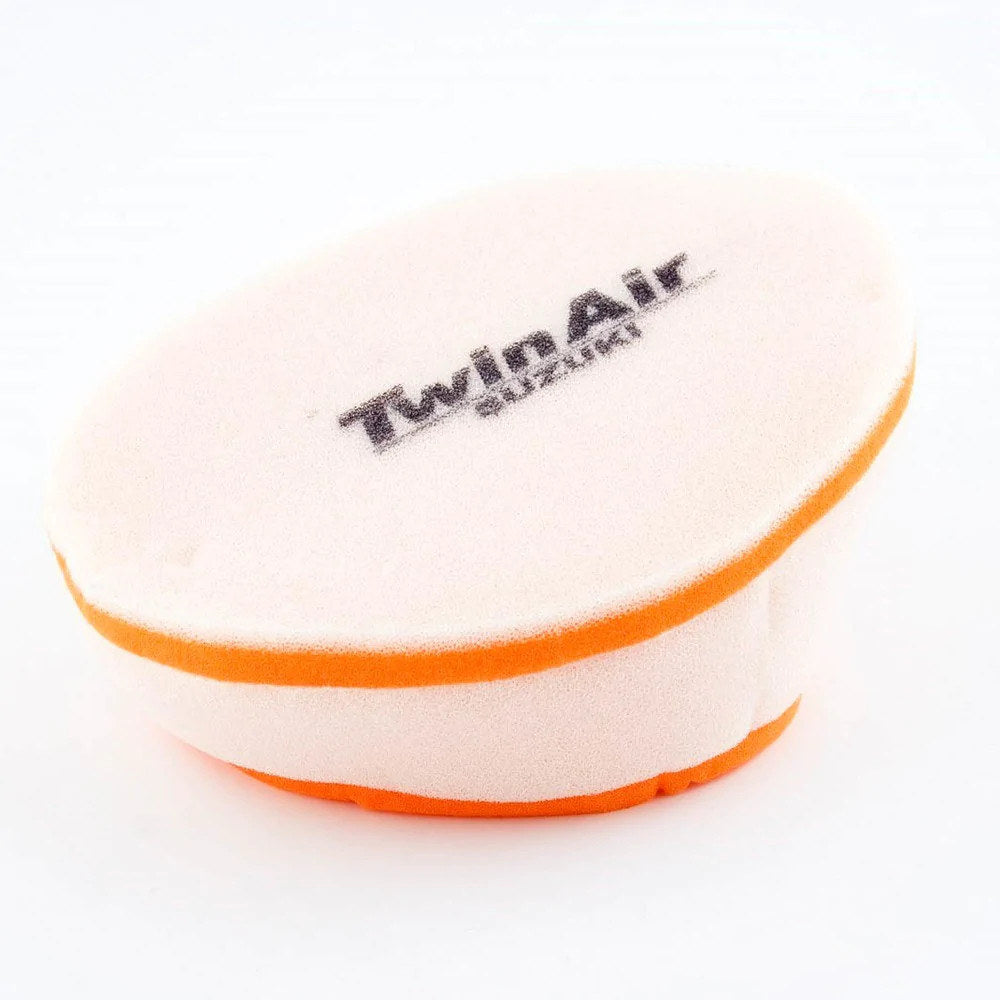 Twin Air Air Filter