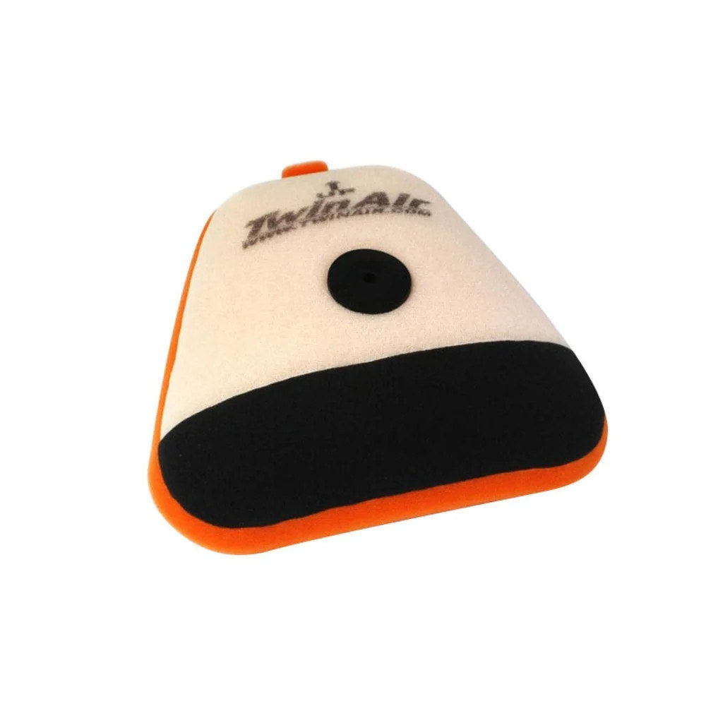 Twin Air Air Filter