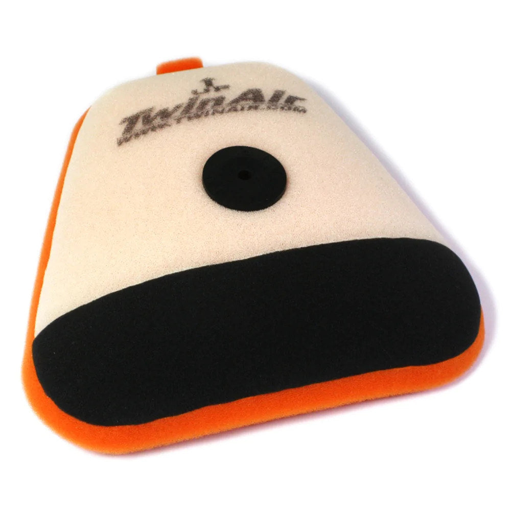 Twin Air Air Filter
