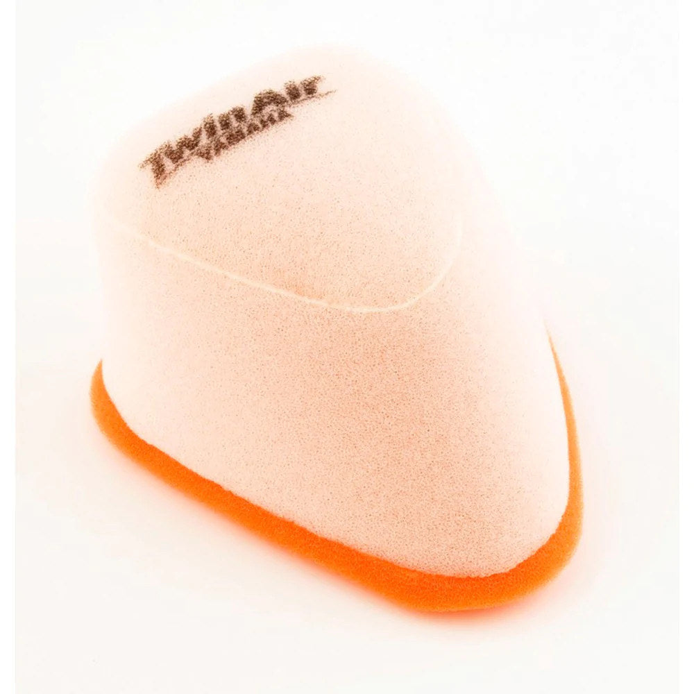 Twin Air Air Filter