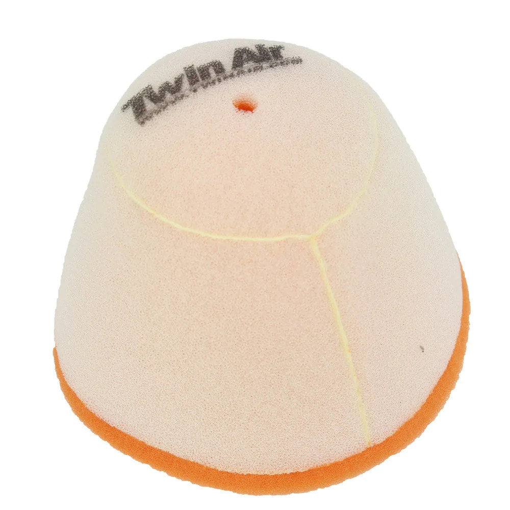 Twin Air Air Filter