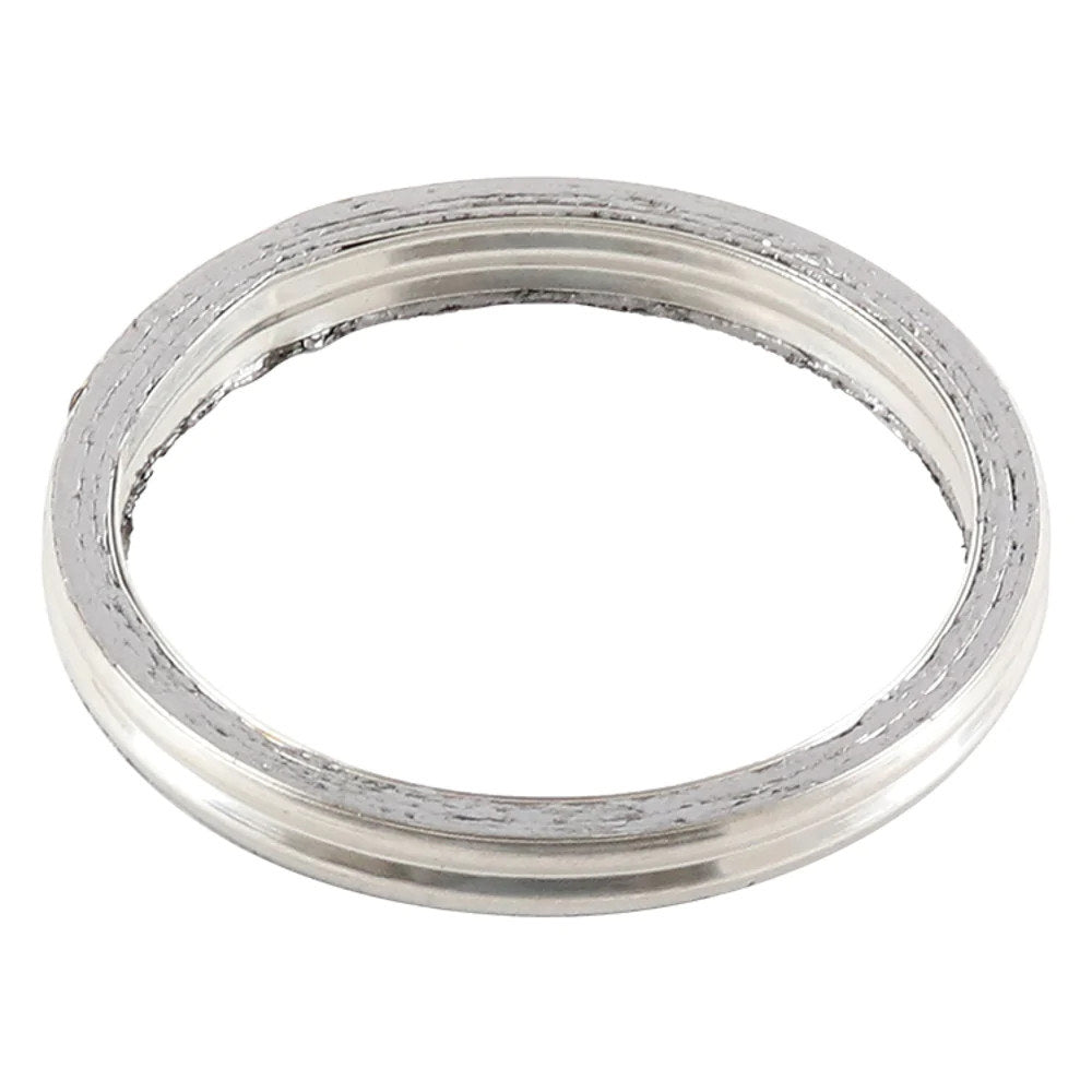 Vertex Exhaust Gasket