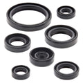 Vertex Oil Seal