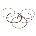 Vertex Piston Kit